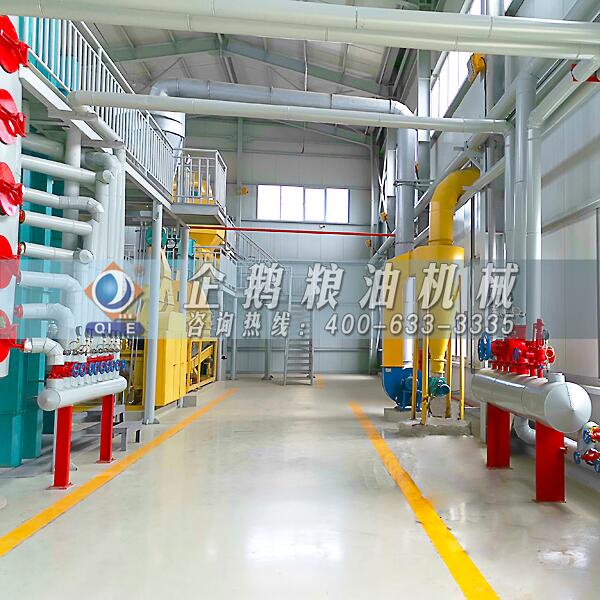 棉籽油加工成套設(shè)備,企鵝品牌名實(shí)相符(圖1) 棉籽油浸出設(shè)備